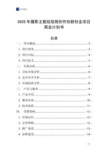 2025年攝影主題短視頻創作創新創業項目商業計劃書