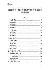 2025年企業(yè)知識產(chǎn)權(quán)保護(hù)創(chuàng)新創(chuàng)業(yè)項目商業(yè)計劃書