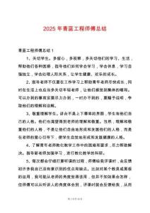 2025年青藍工程師傅總結