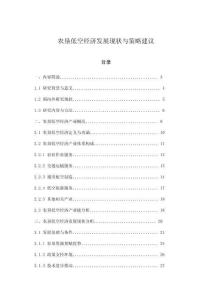 農(nóng)墾低空經(jīng)濟發(fā)展現(xiàn)狀與策略建議