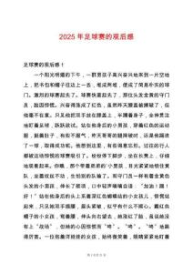 2025年足球賽的觀后感