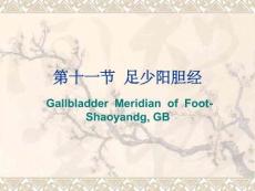 經絡腧穴各論-膽