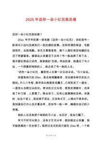 2025年送你一朵小紅花觀后感