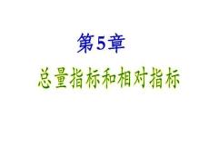 統(tǒng)計學(xué)-第5章-總量指標(biāo)和相對指標(biāo)