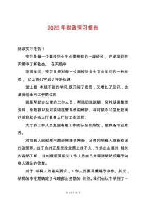 2025年財政實習報告