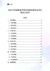 2025年車載智能手勢識別器創(chuàng)新創(chuàng)業(yè)項(xiàng)目商業(yè)計劃書