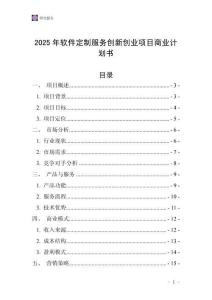 2025年軟件定制服務創新創業項目商業計劃書