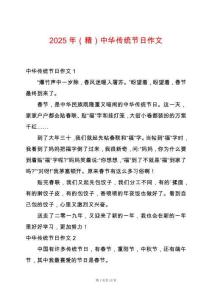 2025年（精）中華傳統(tǒng)節(jié)日作文