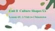 Unit 8 Culture Shapes Us Lesson 43 A Visit to Chinatown 課件 冀教版（2024）九年級英語全冊