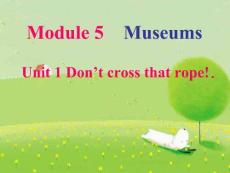 Module  5 Unit 1 Don't cross that rope 課件 外研版九年級(jí)英語上冊