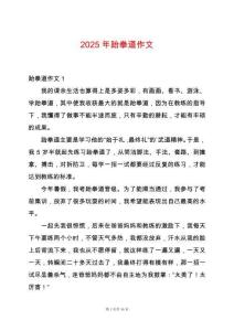 2025年跆拳道作文