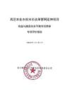 2攀枝花市.西區農業水權水價改革管網延伸項目（財務評級報告）