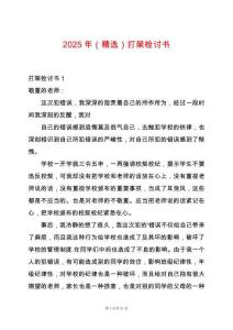 2025年（精選）打架檢討書