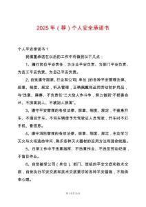2025年（薦）個人安全承諾書