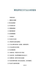 策劃師官方行業(yè)分析報(bào)告