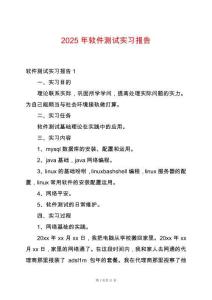 2025年軟件測(cè)試實(shí)習(xí)報(bào)告