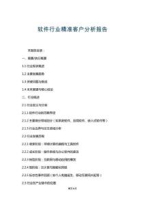 軟件行業(yè)精準客戶分析報告