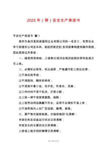 2025年（薦）安全生產(chǎn)承諾書