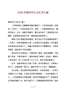 2025年踏實作文500字匯編