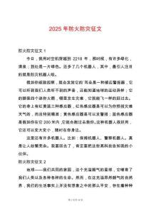 2025年防火防災(zāi)征文