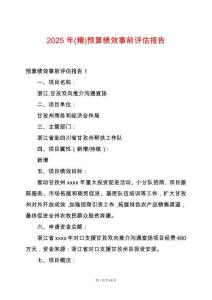 2025年(精)預算績效事前評估報告