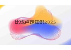 比伐盧定知識(shí)2025