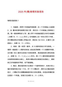 2025年(精)物理實(shí)驗(yàn)報(bào)告
