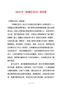 2025年《吶喊紅寶石》讀后感