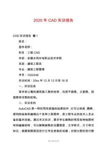 2025年CAD實訓報告