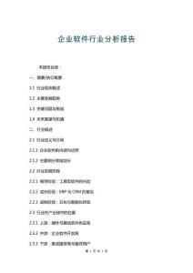 企業(yè)軟件行業(yè)分析報告