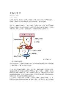 情緒產生的腦機制與管理定稿