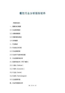 餐飲行業(yè)分析報告軟件