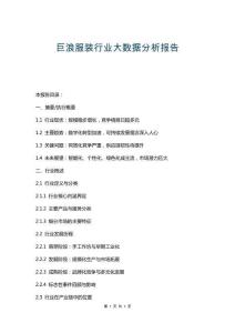 巨浪服裝行業(yè)大數(shù)據(jù)分析報(bào)告