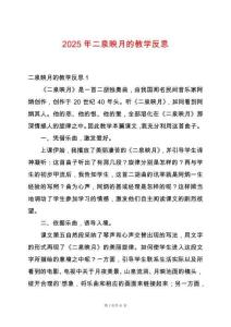 2025年二泉映月的教學(xué)反思