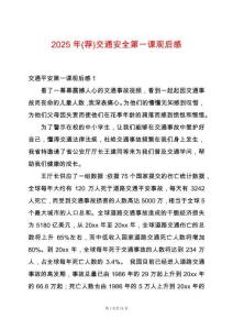 2025年(薦)交通安全第一課觀后感