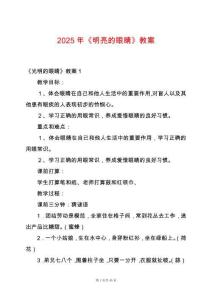 2025年《明亮的眼睛》教案
