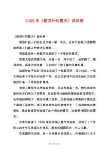 2025年《銀頂針的夏天》讀后感