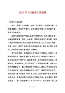 2025年《少林寺》觀后感