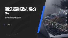 2025年西樂器制造市場分析