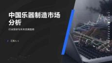 2025年中國樂器制造市場分析