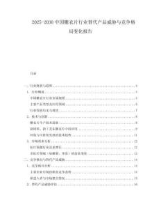 2025-2030中國糖衣片行業替代產品威脅與競爭格局變化報告