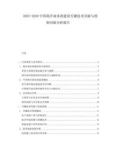 2025-2030中國離岸深水港建設(shè)關(guān)鍵技術(shù)突破與投資回報分析報告