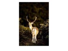 2010年濟南綠地杜莎公館建筑及園林景觀建議中4