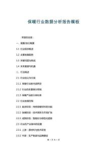 保暖行業(yè)數(shù)據(jù)分析報告模板