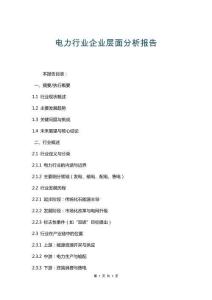 電力行業(yè)企業(yè)層面分析報(bào)告