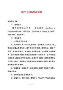 2025年(薦)招商策劃