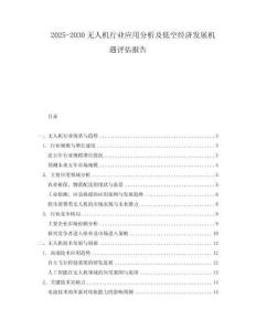 2025-2030無人機行業應用分析及低空經濟發展機遇評估報告