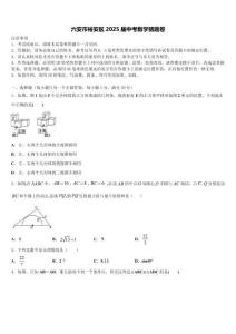六安市裕安區(qū)2025屆中考數(shù)學(xué)猜題卷含解析