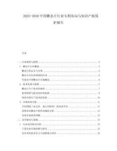 2025-2030中國糖衣片行業專利布局與知識產權保護報告