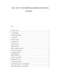 2025-2030中國生物質發電技術路線與經濟性對比研究報告